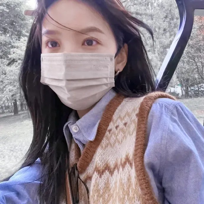 铜雀春深美人谋